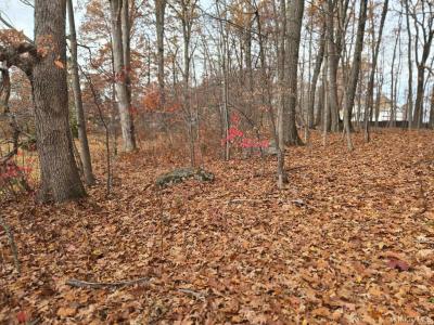 Lot 16 Newton Rd, Fishkill, NY 12524, USA