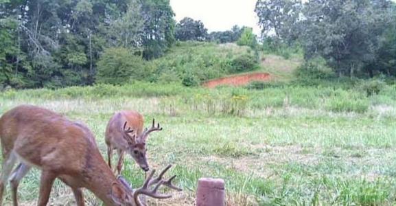 128 Cook Lane, Mills River, North Carolina 28759, Stati Uniti