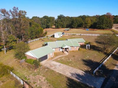 957 Cr 3510, Leesburg, Texas 75451, USA