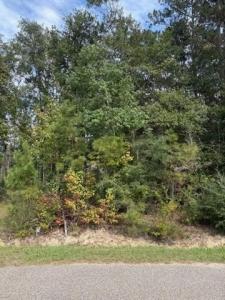 64400 Josephine Street, Pearl River, Louisiane 70452, États-Unis