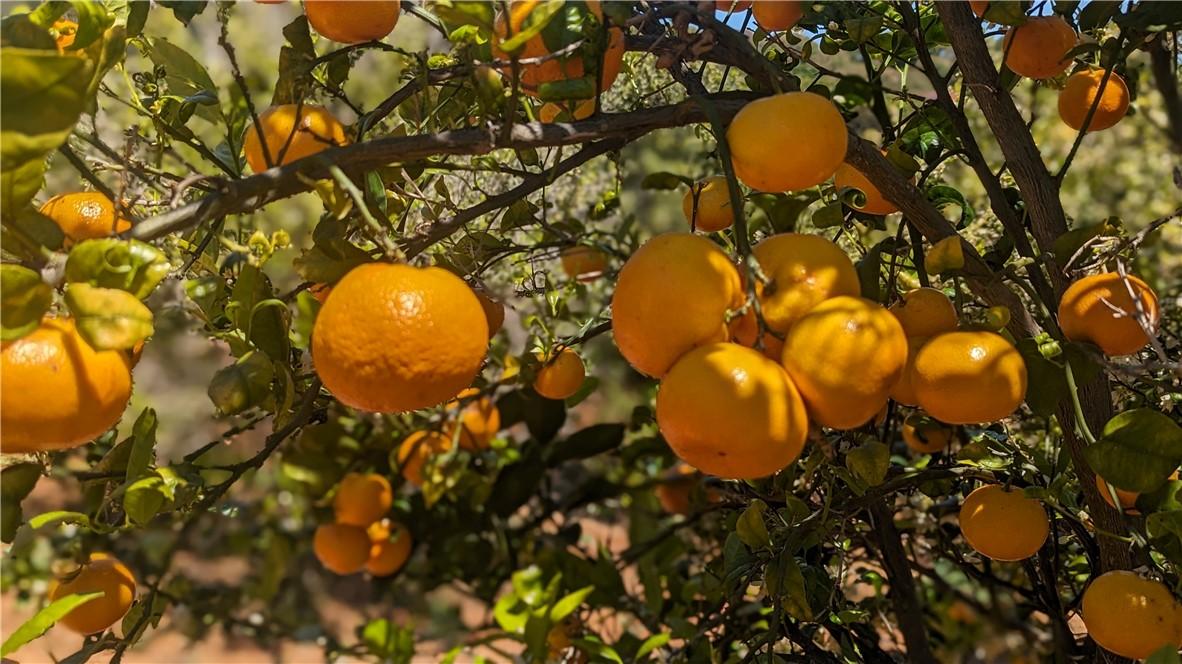 27 Via Escalon, Temecula, California 92590, Stati Uniti