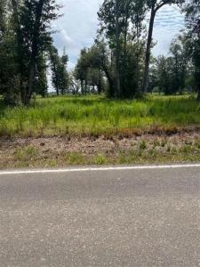 0 Ledoux Road, Iowa, Louisiane 70647, États-Unis