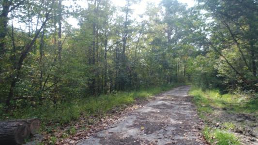 15001 South Hwy 27, Burnside, Kentucky 42519