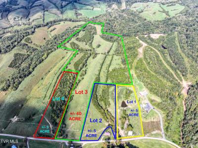 Lot 1 Union Road, Greeneville, Теннесси 37745, Соединенные Штаты