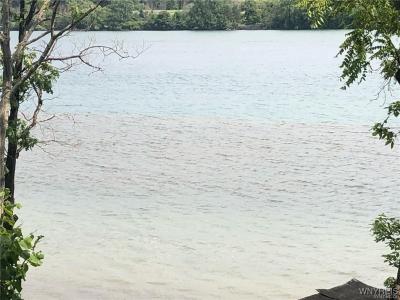 Vl East River, Grand Island, Nova Iorque 14072, Estados Unidos