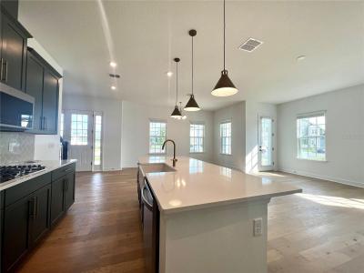 7565 Estuary Lake Loop, CELEBRATION, Florida 34747, Amerika Birleşik Devletleri