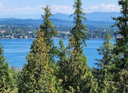 Lot 3 Mountain Ridge Dr, Sagle, 爱达荷州 83860, 美国