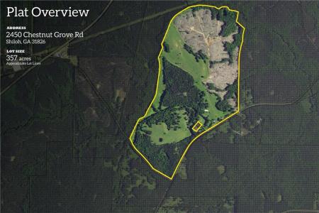 2450 Chestnut Grove Road, Shiloh, Georgia 31826