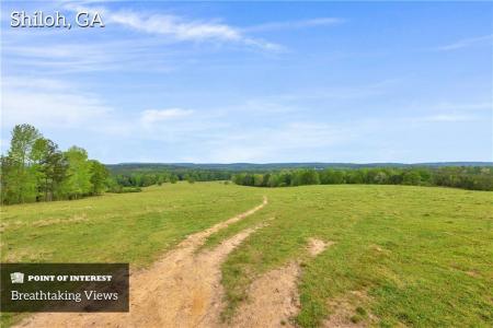 2450 Chestnut Grove Road, Shiloh, Georgia 31826