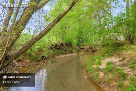 2450 Chestnut Grove Road, Shiloh, Georgia 31826