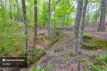 2450 Chestnut Grove Road, Shiloh, Georgia 31826