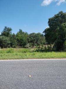 31 136th Ct Ne, Williston, Floride 32696, États-Unis