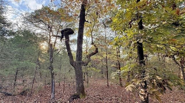 30000 Hummingbird Lane, Cookson, Oklahoma 74427