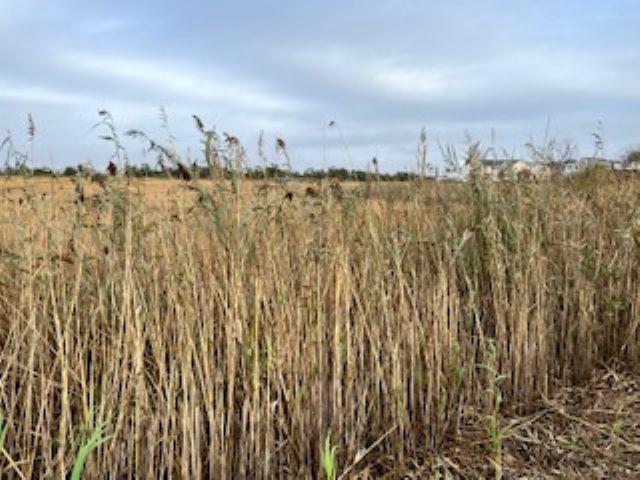 W Memphis Avenue , Views Galore, Lower Township, New Jersey 08260