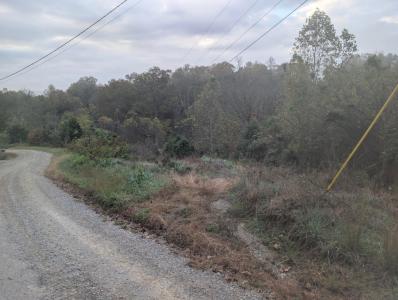 Lot 7 Long Beard Lane, Tazewell, Tennessee 37879, USA