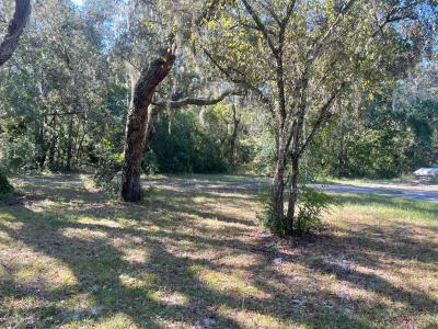 11428 Tenoaks Dr., Hudson, Florida 34669, USA