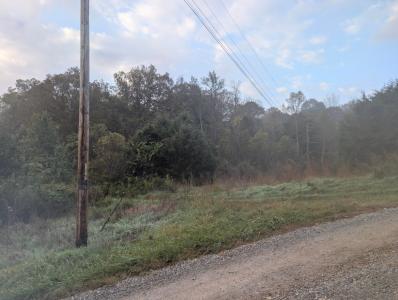 Lot 8 Long Beard Lane, Tazewell, Tennessee 37879, USA