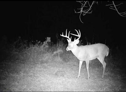 1407 Denton Phelps Road, Somerset, Kentucky 42501, États-Unis