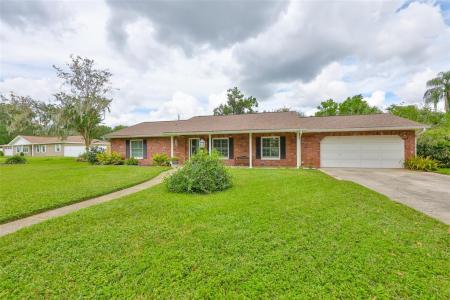 1408 Moss Laden Court, Brandon, Florida 33511