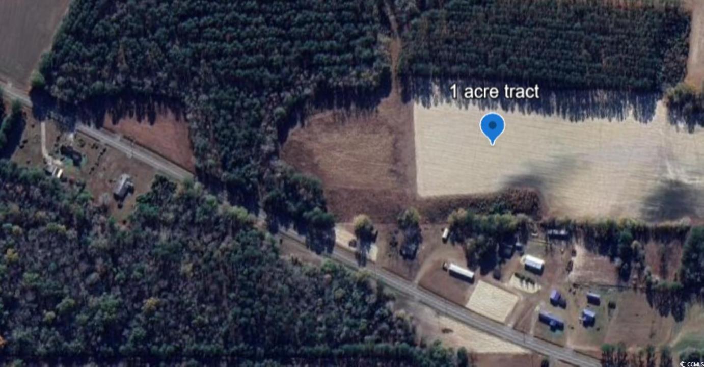 Tbd Jarrott Dr., Nichols, 南卡罗来纳州 29581, 美国