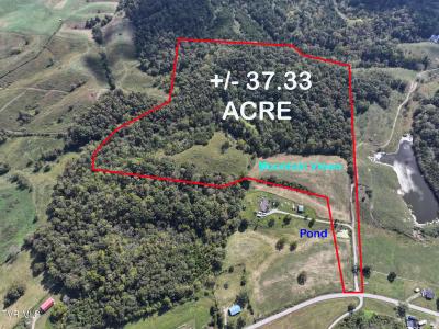 37.33 Ac Charlie Doty Road, Greeneville, Теннесси 37745, Соединенные Штаты