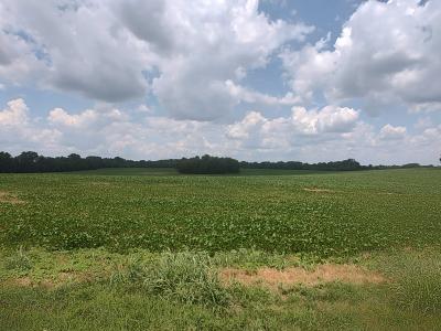 1 Benton Rd, Cedar Hill, Теннесси 37032, Соединенные Штаты