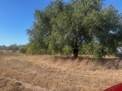 8913 S Peaceful Court, Granbury, Texas 76048, HOA KỲ