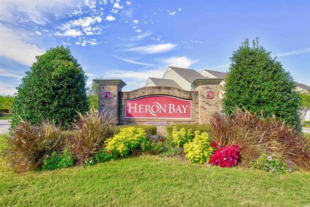 6172 Catalina Dr. , 411, North Myrtle Beach, Южная Каролиня 29582, Соединенные Штаты