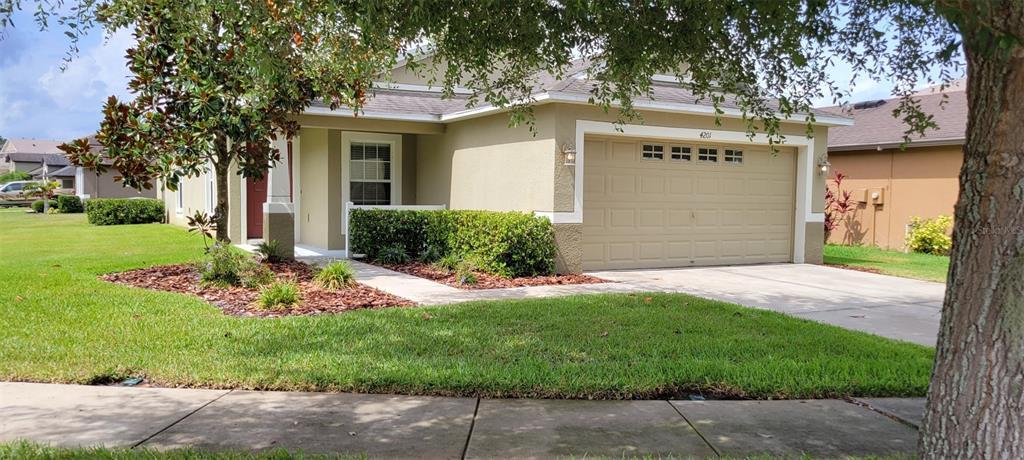 4201 Warwick Hills Drive, Wesley Chapel, פלורידה 33543, ארצות הברית של אמריקה