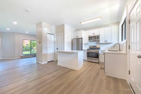 901 S Racine Avenue , C, Chicago, Illinois 60607, Stati Uniti