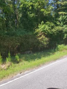 Multiple Lots Offspring Court, Sumter, SC 29153, USA