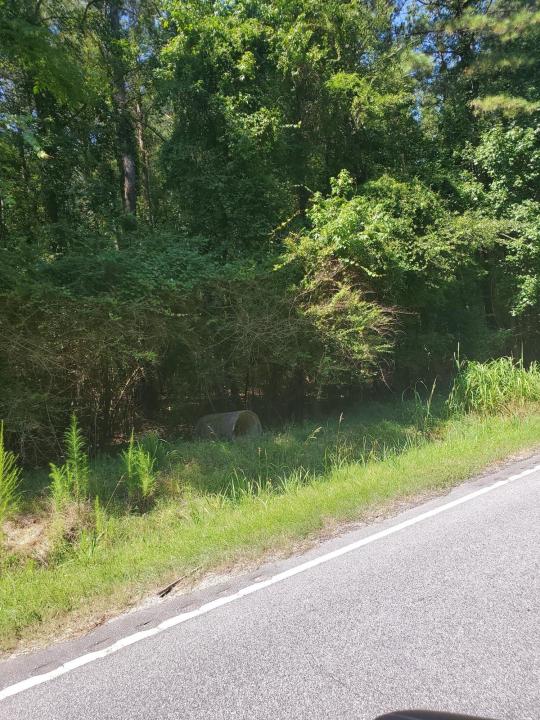 Multiple Lots Offspring Court, Sumter, サウスカロライナ 29153, アメリカ合衆国