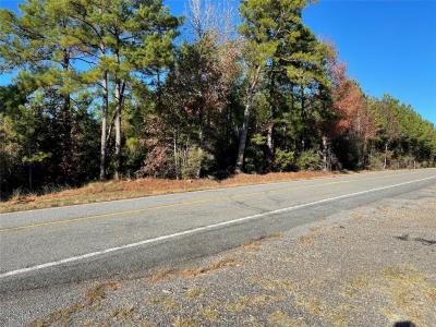 Tbd Highway 155, Coushatta, Louisiana 71019, Stati Uniti