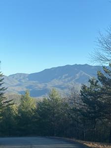 D-7 Lightning Bug Way, Gatlinburg, Теннесси 37738, Соединенные Штаты