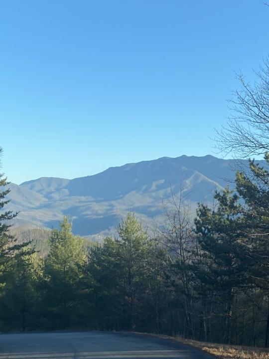 D-7 Lightning Bug Way, Gatlinburg, Теннесси 37738, Соединенные Штаты