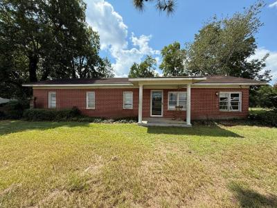 221 Rentz Bridge Road, Lenox, Georgia 31637, USA