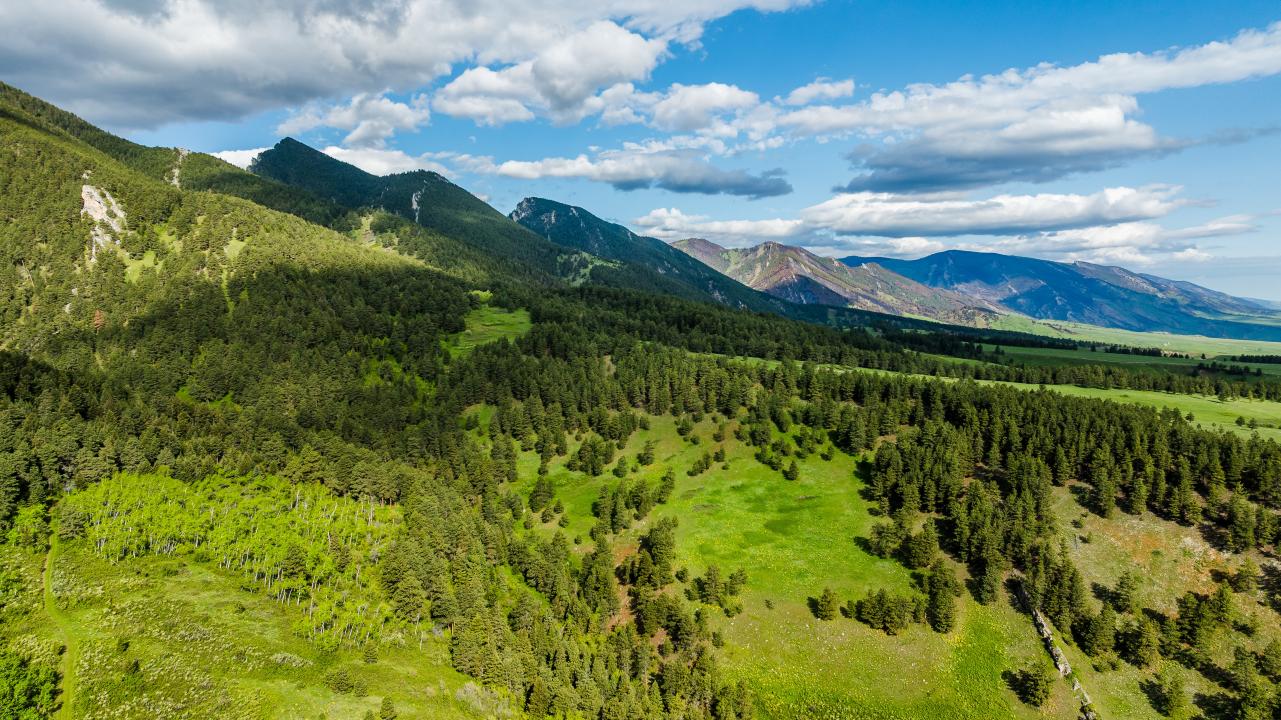 Sanctuary Ranch, Sheridan, Wyoming 82801, USA