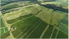 70.44 Acres Cedar Avenue, Wellman, Iowa 52356