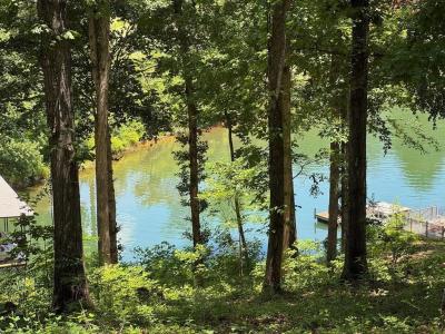 Lot 5&5a Mcclure Drive, Hayesville, North Carolina 28904, Stati Uniti