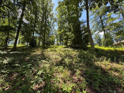 Lot 5&5a Mcclure Drive, Hayesville, North Carolina 28904, Stati Uniti
