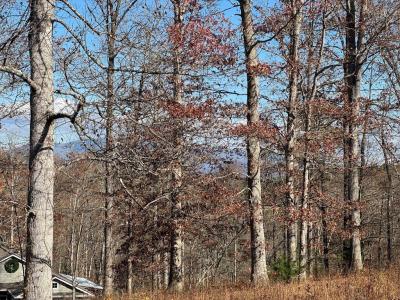 Lot 5&5a Mcclure Drive, Hayesville, North Carolina 28904, Stati Uniti