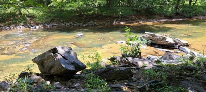 526 Fedorak Court, Ranger, Georgia 30734, USA