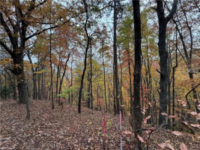 355 Orieole Court, Ranger, Georgia 30734, USA