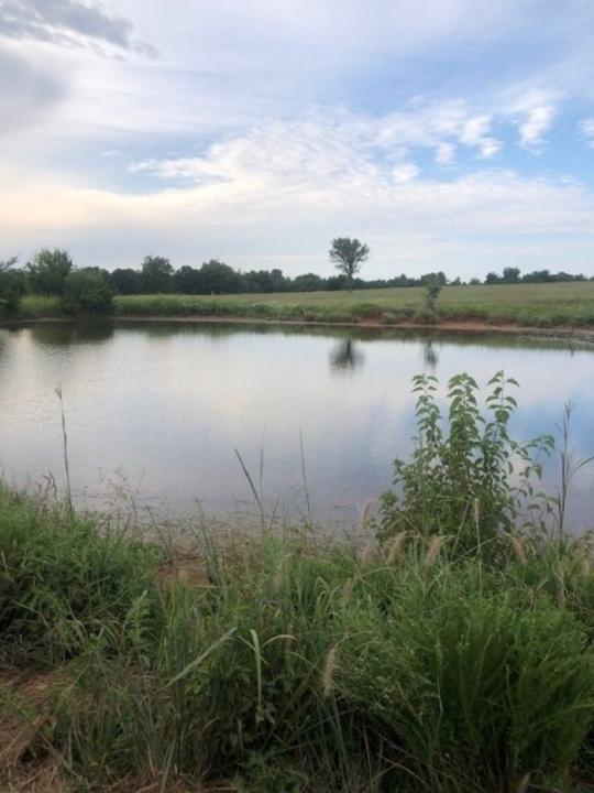 Lot 4 Hummingbird, Stillwater, 奧克拉荷馬州 74074, 美國