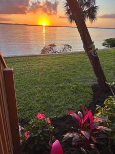 4440 Ne Sandpebble Trace Unit#104, Stuart, פלורידה 34996, ארצות הברית של אמריקה 