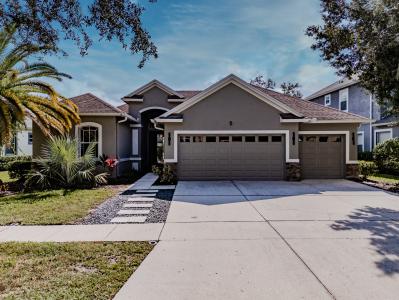 8117 Hampton Glen Dr, Tampa, Floride 33647, États-Unis