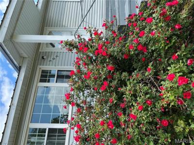 309 Central Avenue, Marble Hill, Missouri 63764, Estados Unidos