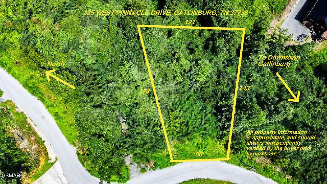 335 Pinnacle Drive, Gatlinburg, テネシー 37738, アメリカ合衆国