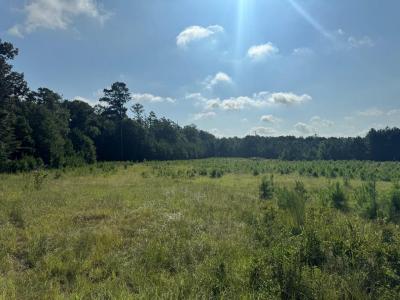 East Lamar Street, Americus, Georgia 31709, HOA KỲ