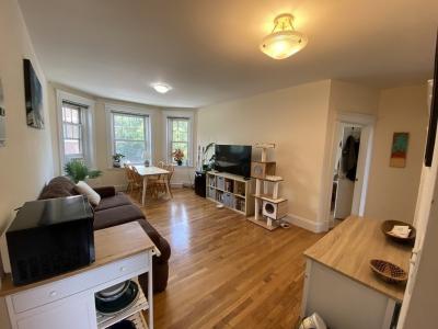 77 Parkman Street , #4, Brookline, Массачусетс 02446, Соединенные Штаты